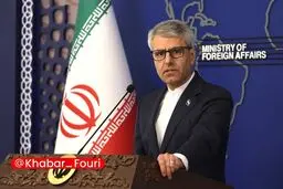 بقائی: ایران چرا باید اورانیوم غنی شده خود را به کشور دیگر منتقل کند!