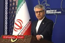 بقائی: ایران چرا باید اورانیوم غنی شده خود را به کشور دیگر منتقل کند!
