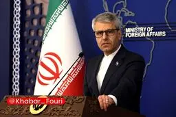 بقائی: ایران چرا باید اورانیوم غنی شده خود را به کشور دیگر منتقل کند!