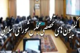 زمان برگزاری انتخابات هیات رئیسه کمیسیون‌های مجلس