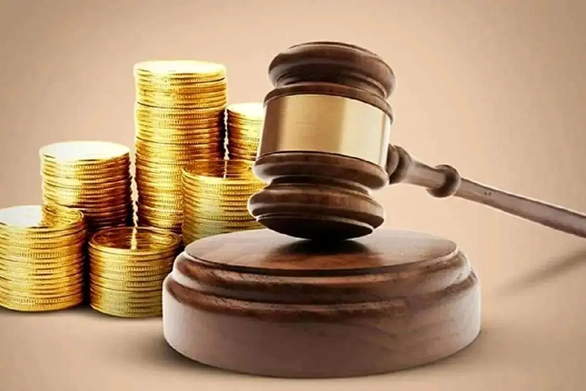 نوروزی: به جز مجلس نقد جدی به دولت هم وارد است که در دفاع از حقوق زنان منفعل عمل کرد.