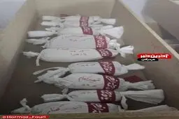 خداحافظی آخر پدرومادر‌های مینابی، با اعضای باقی‌مانده از فرزندان‌شان+ ویدیو