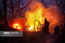 جنگل های گیلان نیازمند کمک مردمی‌ هستند 
