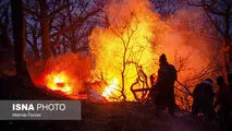 جنگل های گیلان نیازمند کمک مردمی‌ هستند 