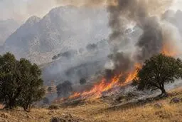 زاگرس روی خط آتش؛ فارس جای کرمانشاه را گرفت