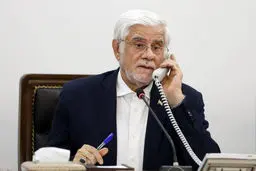 عارف: ملینا شهیده همه مردم ایران است