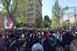 دانشگاه امیرکبیر: رسیدگی به پرونده دانشجویان خاطی اغماض ندارد