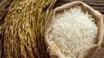 حراج بزرگ برنج شب عید آغاز شد؛ برنج ۱۵۱ هزار تومان! / آدرس ۵ مرکز توزیع کالای دولتی در تهران