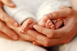 رویان؛ آخرین امید زوج‌های نابارور