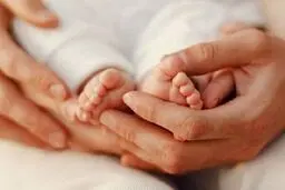 رویان؛ آخرین امید زوج‌های نابارور