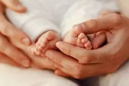 رویان؛ آخرین امید زوج‌های نابارور