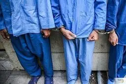 رئیس‌کل دادگستری کرمان گفت: برخی از لیدرهای اغتشاش و برخی عوامل تروریستی در کرمان دستگیر شدند