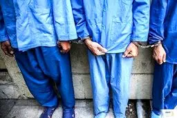 رئیس‌کل دادگستری کرمان گفت: برخی از لیدرهای اغتشاش و برخی عوامل تروریستی در کرمان دستگیر شدند