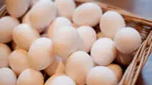 کاهش مصرف مرغ و تخم مرغ