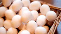کاهش مصرف مرغ و تخم مرغ