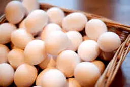 کاهش مصرف مرغ و تخم مرغ