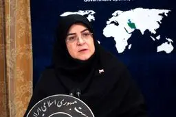 سخنگوی دولت: اتهامات علیه ایران فاقد اعتبار قانونی و صرفاً با هدف فرافکنی است