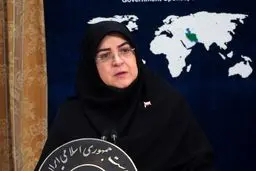 سخنگوی دولت: اتهامات علیه ایران فاقد اعتبار قانونی و صرفاً با هدف فرافکنی است