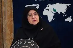 سخنگوی دولت: اتهامات علیه ایران فاقد اعتبار قانونی و صرفاً با هدف فرافکنی است