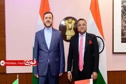 دیدار غریب‌آبادی با دبیر غرب وزارت امور خارجه هند