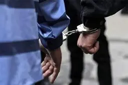 دستگیری تمامی عاملان حمله با قمه به جگرکی در شمال تهران/متهمان روانه زندان شدند