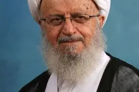 آیت‌الله مکارم شیرازی: عربستان مسائل جنگ را به حج گره نزند
