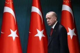 اردوغان خواستار لغو محدودیت‌های همکاری دفاعی میان اعضای ناتو شد