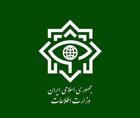 بازداشت ۲ عضو تیم قاچاق سلاح جنگی در کرمانشاه؛ کشف ۱۰۹ قبضه سلاح
