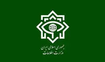 بازداشت ۲ عضو تیم قاچاق سلاح جنگی در کرمانشاه؛ کشف ۱۰۹ قبضه سلاح