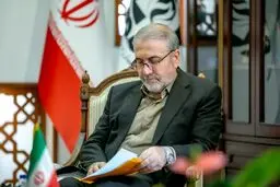 کشت «خشخاش» ممنوع/ برخورد با کشت غیرمجاز گیاهان مخدرپایه