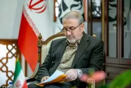 کشت «خشخاش» ممنوع/ برخورد با کشت غیرمجاز گیاهان مخدرپایه