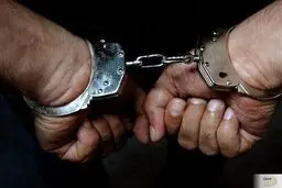 قاچاقچی برنج ۶۰۰ میلیون تومان جریمه شد