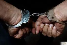 قاچاقچی برنج ۶۰۰ میلیون تومان جریمه شد