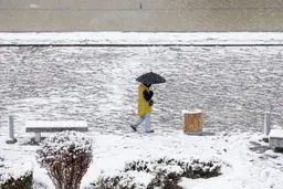 امشب سرمای شدید هوا در این مناطق کشور/ فردا با ورود سامانه بارشی برای برف و کولاک آماده باشید