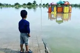 سلبریتی‌ها، حالا وقت خودنمایی است