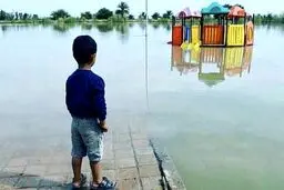 سلبریتی‌ها، حالا وقت خودنمایی است