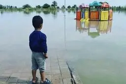 سلبریتی‌ها، حالا وقت خودنمایی است