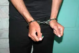 اظهارات تکان‌دهنده آهنگساز ایرانی که تروریست از آب درآمد / قرار بود پایگاه بسیج را به آتش بکشیم!