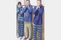 ۱۲ ساعت جدال با مرگ در قبر