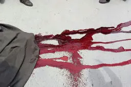 قاتل طلبه همدانی در درگیری با ماموران پلیس کشته شد