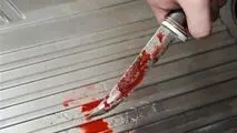 نزاع خونبار دو معتاد به‌خاطر یک توله سگ!
