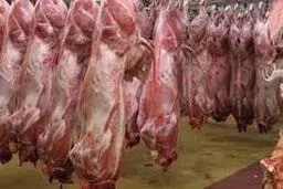 زنگ خطر نابودی تولید شیر و گوشت به صدا درآمد/ خبری از خرید تضمینی گوشت نیست