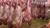 زنگ خطر نابودی تولید شیر و گوشت به صدا درآمد/ خبری از خرید تضمینی گوشت نیست