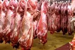 زنگ خطر نابودی تولید شیر و گوشت به صدا درآمد/ خبری از خرید تضمینی گوشت نیست