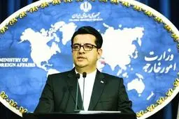 احمد خلیلی شهروند ایرانی بازداشت شده در آلمان به کشور بازگشت