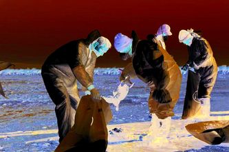 مــرگ ٣٠‌هــــزار پـرنده مهـاجـر