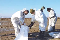 مــرگ ٣٠‌هــــزار پـرنده مهـاجـر