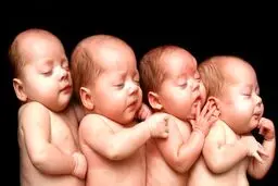 خبر خوش؛ مستمری بهزیستی برای چندقلوها/ خانواده‌ها به کجا باید مراجعه کنند؟