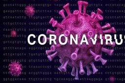 وزارت بهداشت: ۲۱ بیمار مبتلا به کرونا در قم درمان شدند