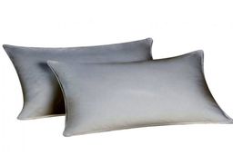 گنجی که در بالشت پنهان بود، پیدا شد